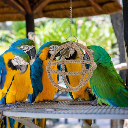 Interactive Parrot Toys Nibbling Balls Hoop Swing Bird Chew Play Activity.