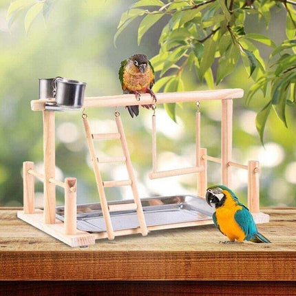 Parrots Wooden Stand Bird Play Activity Center Playground Ladder Perch Gym.