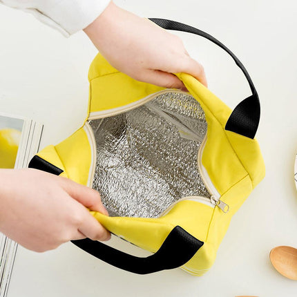 Portable Insulated Thermal Lunch Box Carry Tote Picnic Case Storage Bag 21x17x15cm - B04 (21x17x15cm).