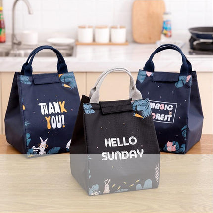 Portable Insulated Thermal Lunch Box Carry Tote Picnic Case Storage Bag 18x24x15cm - E02 (18x24x15cm).