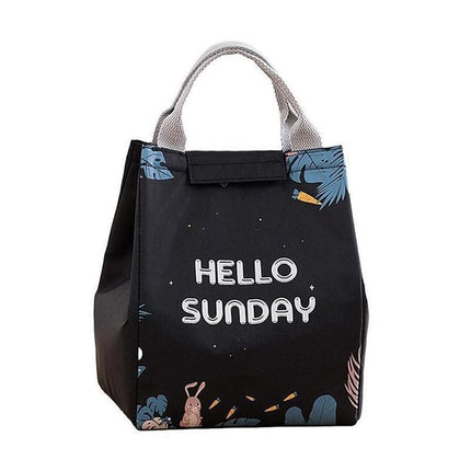 Portable Insulated Thermal Lunch Box Carry Tote Picnic Case Storage Bag 18x24x15cm - E02 (18x24x15cm).