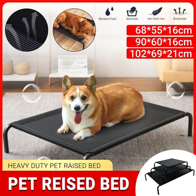 Pet Care.