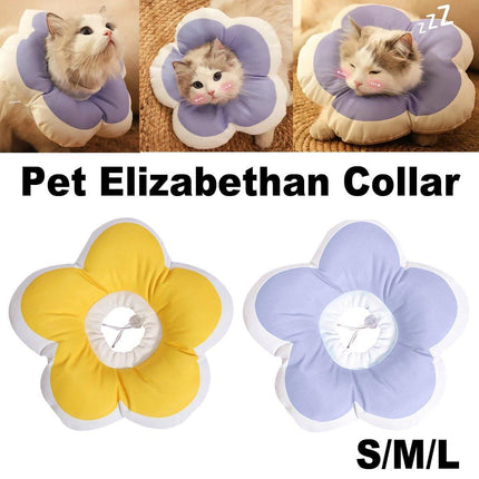 Pet Care Cartoz.