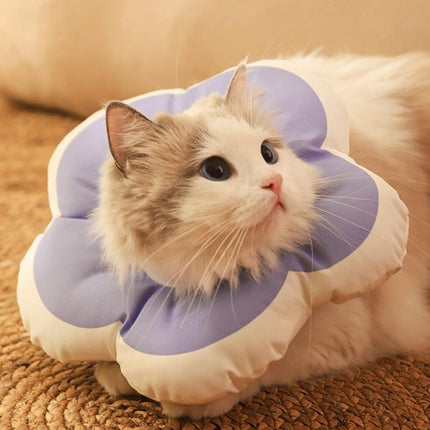 Pet Care Cartoz.