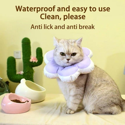 Pet Care Cartoz.