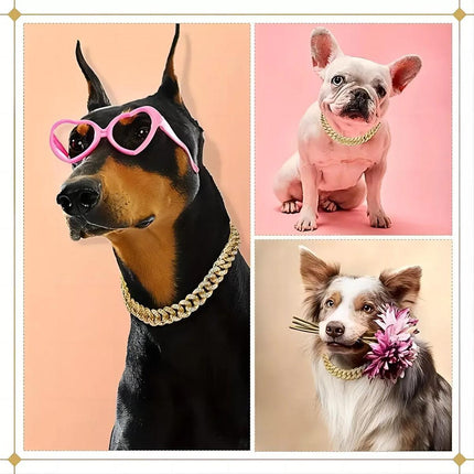 Pet Care Cartoz.