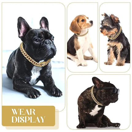 Pet Care Cartoz.