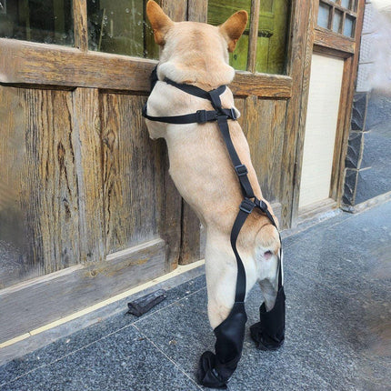 Dog Adjustable Suspender Boots Waterproof Dog Shoes Anti-Slip Pet Paw Protector - M.