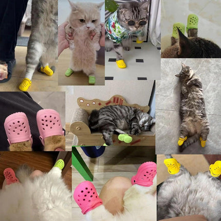 Pet Care Cartoz.