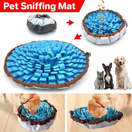 Pet Care Cartoz.