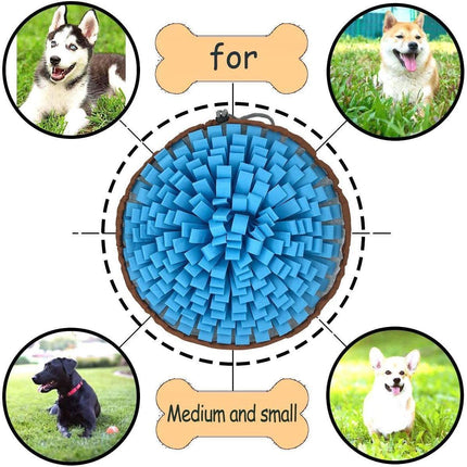Pet Care Cartoz.