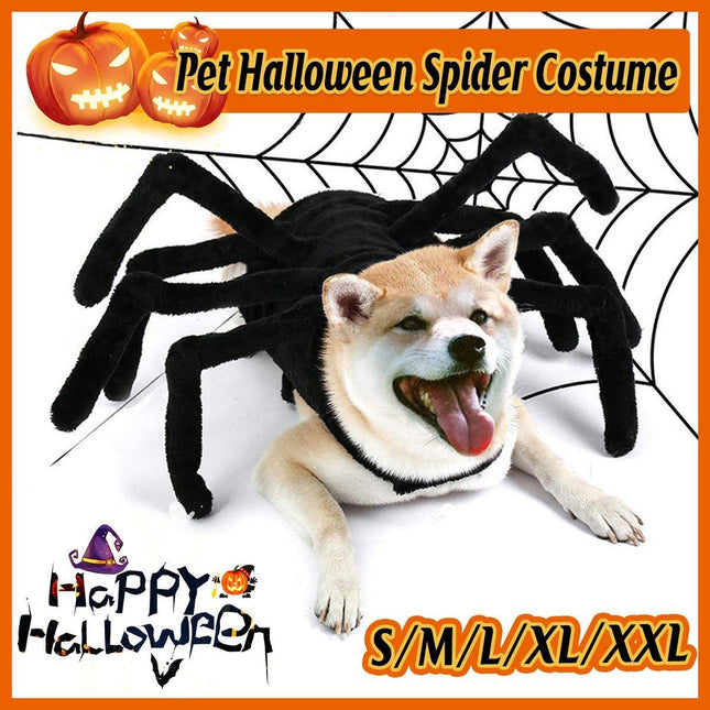 Pet Care.