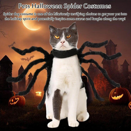 Pet Care Cartoz.