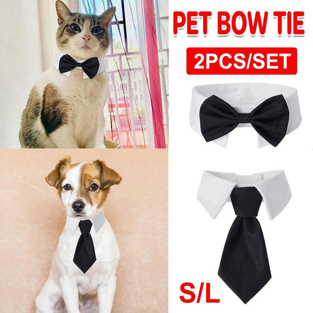Pet Care.