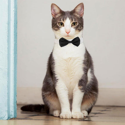 2pcs Pet Bow Tie Collar Dog Cat Suit Dress Accessories Adjustable Neck Strap - S.
