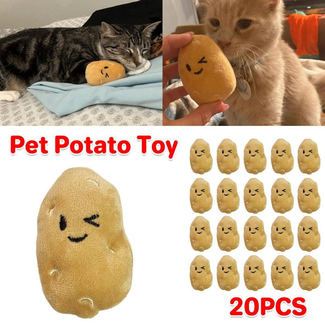 Pet Care.