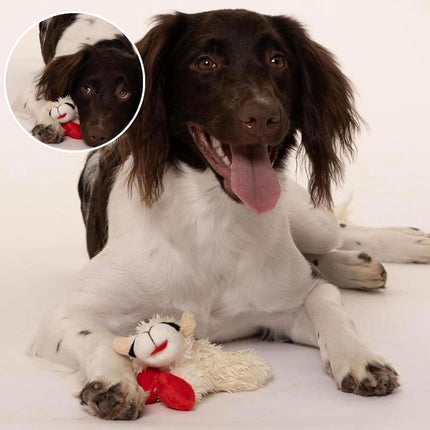 Lamb Shape Dog Toy Soft Plush Chew Toy for Puppy Small Dogs Squeaky Play Pet.