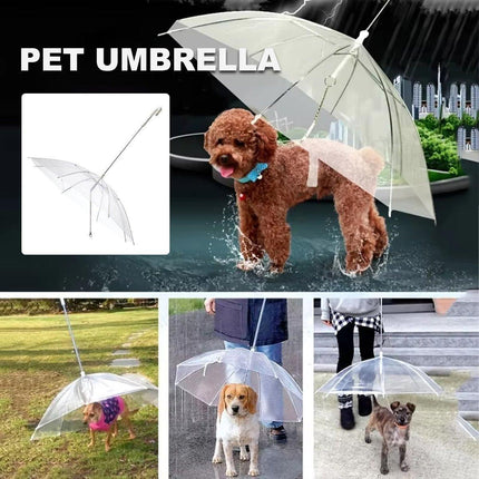 Pet Dog Transparent Umbrella 30 inch Diameter With Dog Leash For Rain Walking Outdoor.