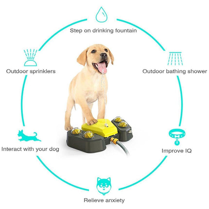 Automatic Water Feeder Dispenser with Bath Spray and Footstep Dog Toys for Pets - Grey.