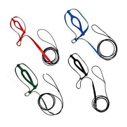 M Pet Parrot Bird Harness Lead Leash Flying Training Rope Cockatiel Outdoor - Blue.