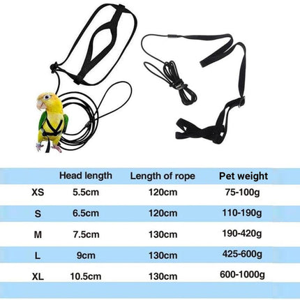 M Pet Parrot Bird Harness Lead Leash Flying Training Rope Cockatiel Outdoor - Blue.