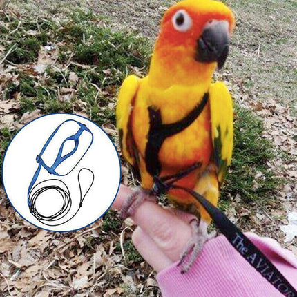 M Pet Parrot Bird Harness Lead Leash Flying Training Rope Cockatiel Outdoor - Blue.