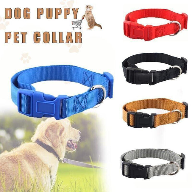 Pet Care.