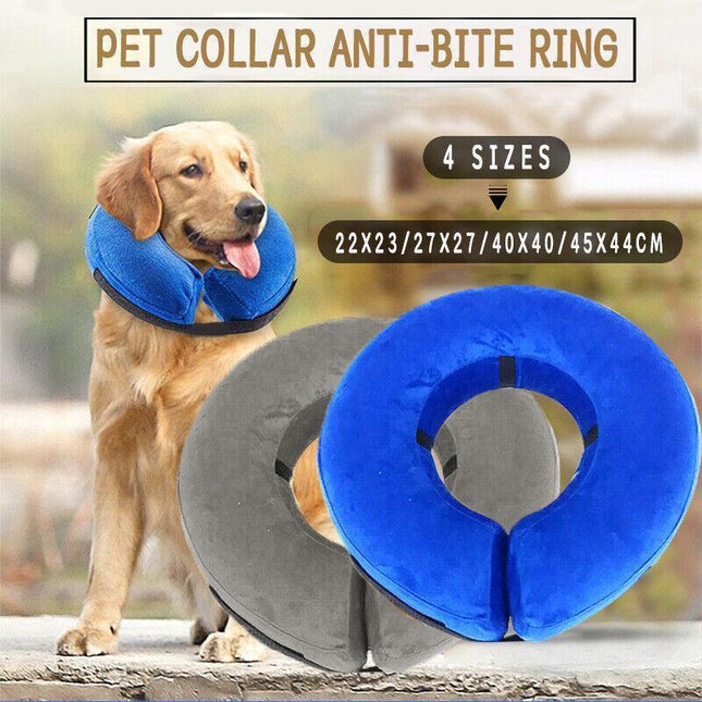 Pet Care.