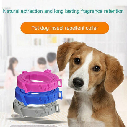 Short Adjustable Pet Anti Flea Tick Neck Collar For Dog Cat Kitten 8 Months Protect - Blue.