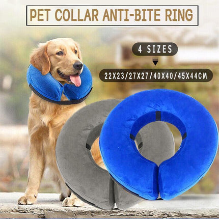 Pet Care.