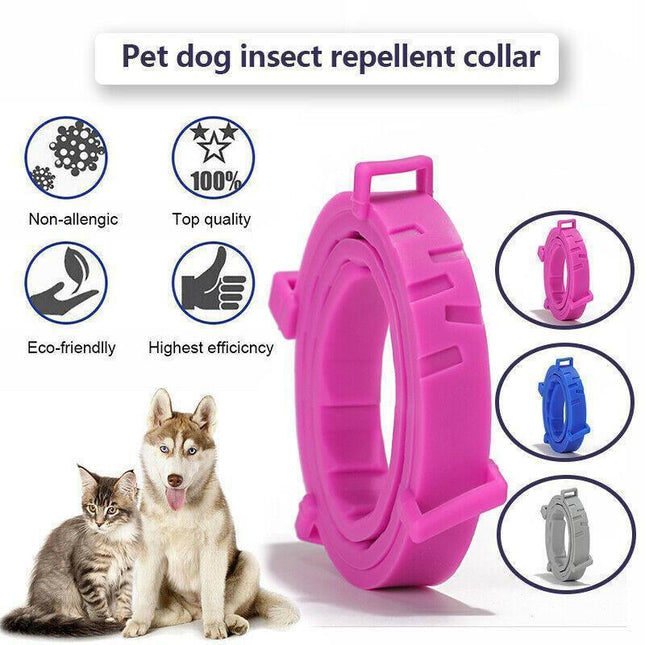 Pet Care.