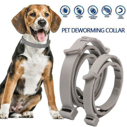 Short Adjustable Pet Anti Flea Tick Neck Collar For Dog Cat Kitten 8 Months Protect - Pink.