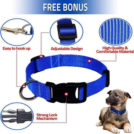 Pet Care Cartoz.