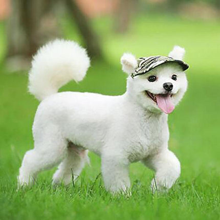 Pet Care.
