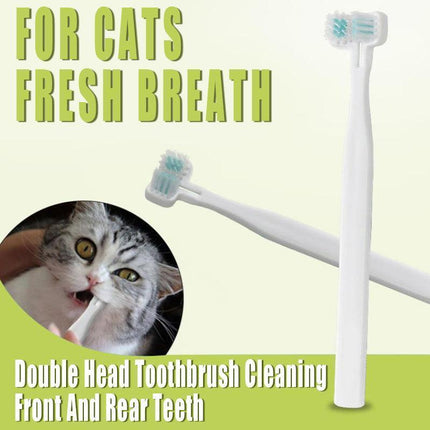 Pet Care Cartoz.