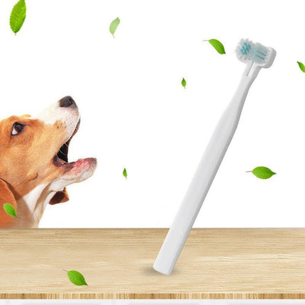 Pet Care Cartoz.