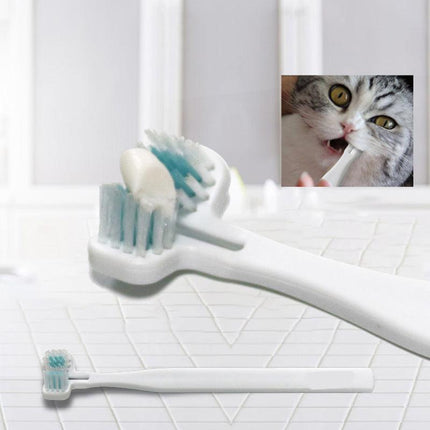 Pet Care Cartoz.