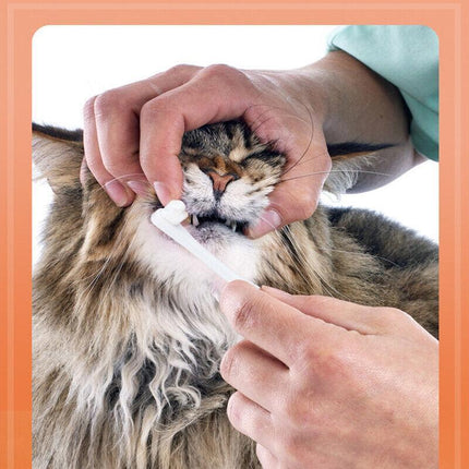 Pet Toothbrush Toothpaste Set for Cats and Dogs Vanilla Flavor Oral Care Kit.