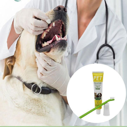 Pet Dog Cat Toothpaste and Toothbrush Set Beef Flavor.
