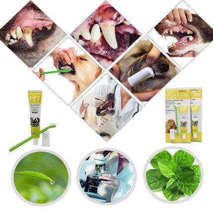 Pet Dog Cat Toothpaste and Toothbrush Set Beef Flavor.