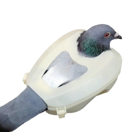2X Practical Plastic Racing Pigeon Holder Fixed Frame Rack Bird Medicine Feeder.