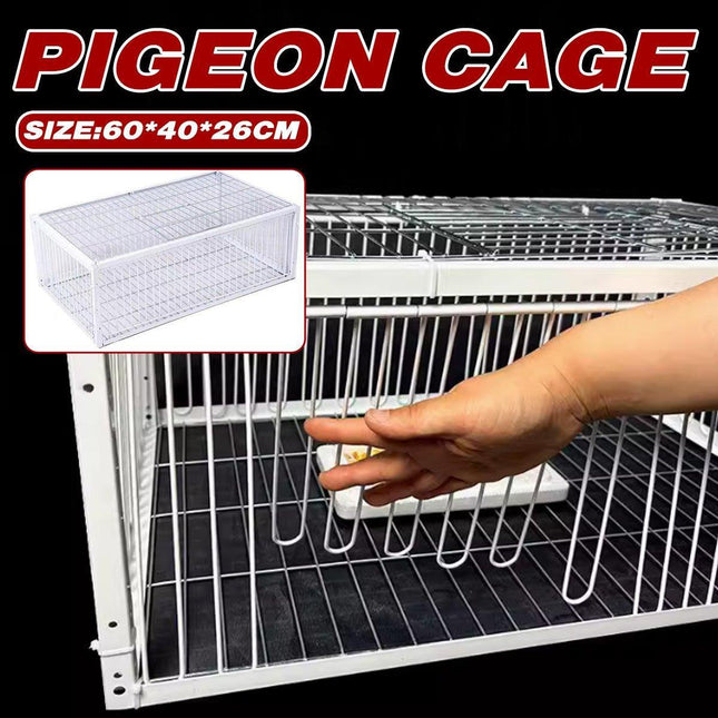 Pet Care.