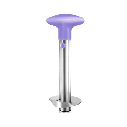 Stainless Steel Pineapple Corer Slicer Peeler Cutter Tool Easy Pineapple Cutter - Blue.
