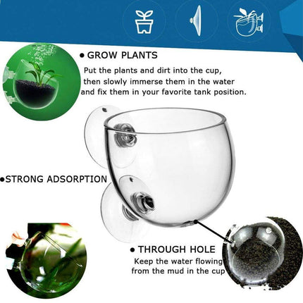 Aquarium Plant Cup for Breeding and Aquascaping Glass Water Plant Holder.
