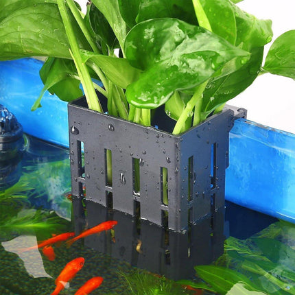 Hydroponic Plant Storage Rack Fish Tank Decoration Square Aquarium Basket Holder - White.