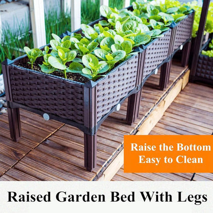 Home & Garden Cartoz.