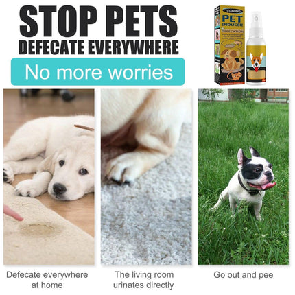 Pet Care.