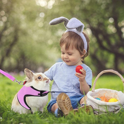Pet Care Cartoz.