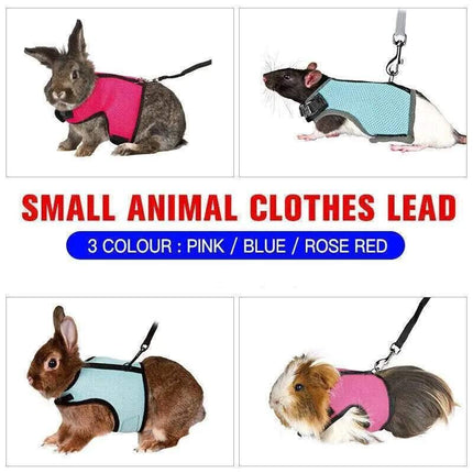Pet Care.