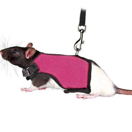 Pet Care.